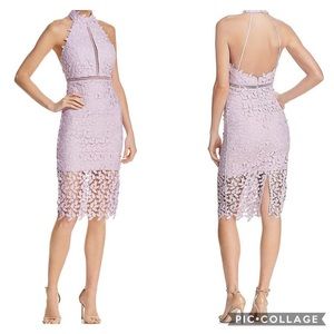 Bardot Gemma Lace Halter Sheath Dress - Orchid